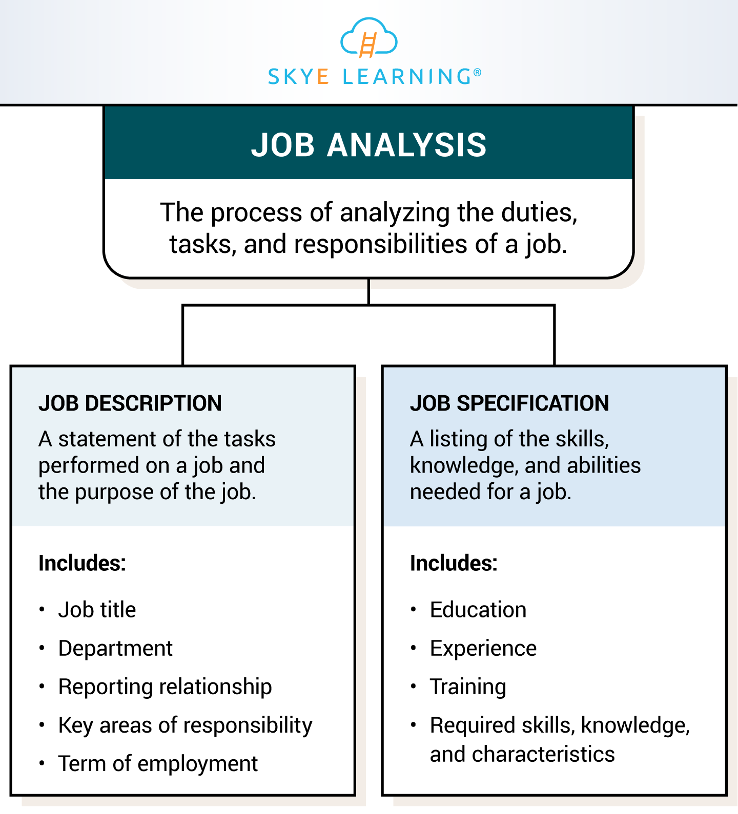 Job Analysis